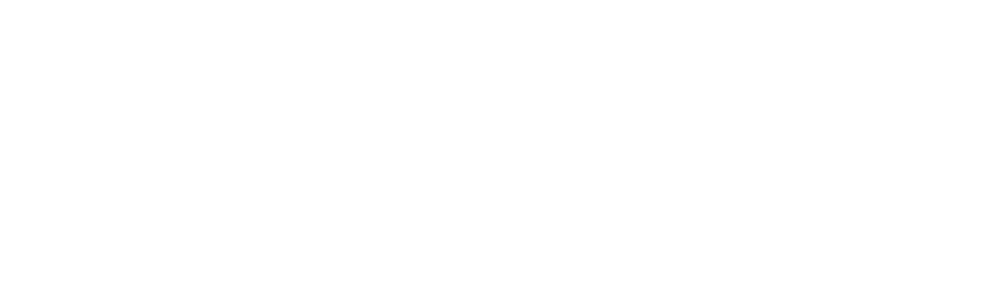 biz sites white logo
